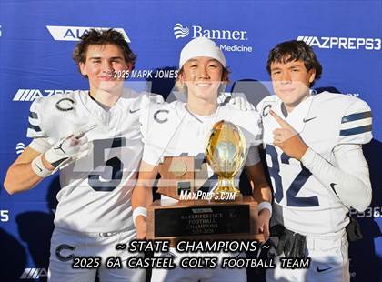 Thumbnail 1 in Casteel @ Centennial (AIA 6A Final Awards) photogallery.