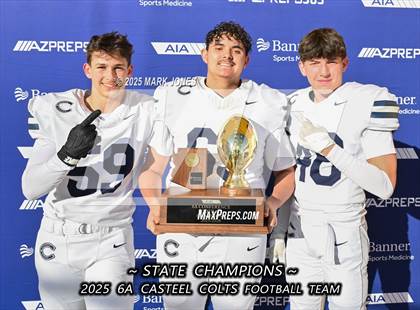 Thumbnail 1 in Casteel @ Centennial (AIA 6A Final Awards) photogallery.