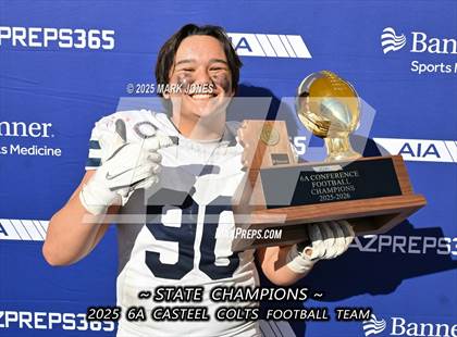 Thumbnail 3 in Casteel @ Centennial (AIA 6A Final Awards) photogallery.