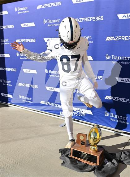 Thumbnail 2 in Casteel @ Centennial (AIA 6A Final Awards) photogallery.