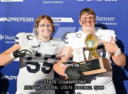 Thumbnail 3 in Casteel @ Centennial (AIA 6A Final Awards) photogallery.
