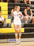 Photo from the gallery "Notre Dame vs. Archbishop Mitty (Spikefest 1)"
