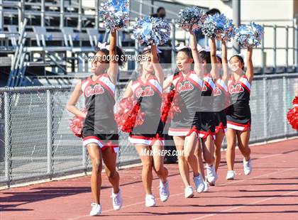 Thumbnail 3 in Archbishop Mitty @ James Logan photogallery.