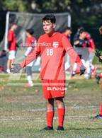 Photo from the gallery "Lathrop vs. Lodi"