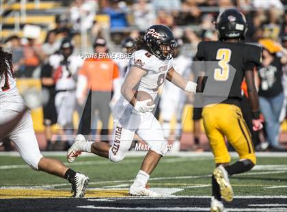 Thumbnail 1 in Pittsburg @ Antioch (100th Big Little Game) photogallery.