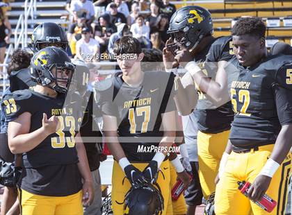 Thumbnail 2 in Pittsburg @ Antioch (100th Big Little Game) photogallery.