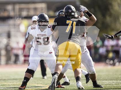 Thumbnail 2 in Pittsburg @ Antioch (100th Big Little Game) photogallery.