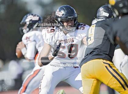 Thumbnail 3 in Pittsburg @ Antioch (100th Big Little Game) photogallery.