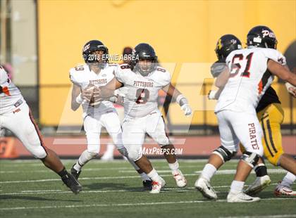 Thumbnail 1 in Pittsburg @ Antioch (100th Big Little Game) photogallery.