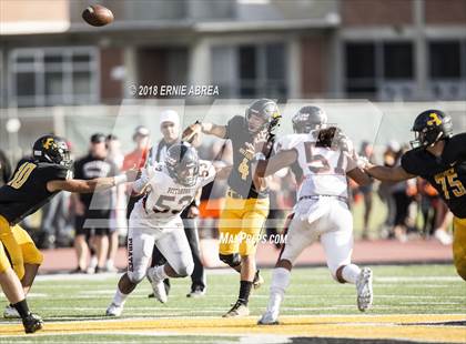 Thumbnail 2 in Pittsburg @ Antioch (100th Big Little Game) photogallery.