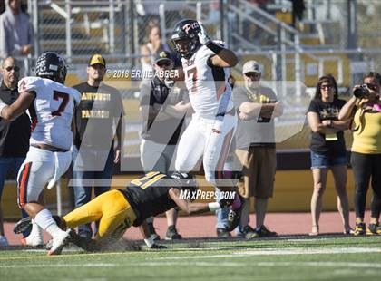 Thumbnail 3 in Pittsburg @ Antioch (100th Big Little Game) photogallery.
