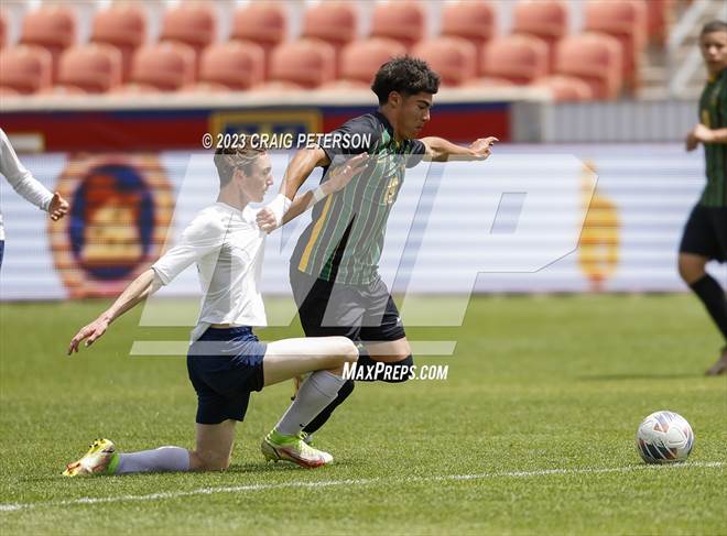 null - Photo 51