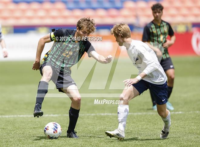 null - Photo 31