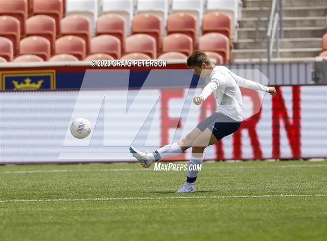null - Photo 11
