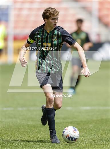 null - Photo 21