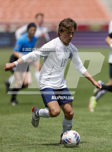 null - Photo 11