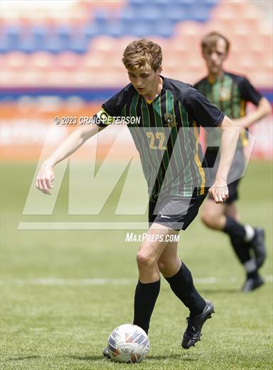 null - Photo 01