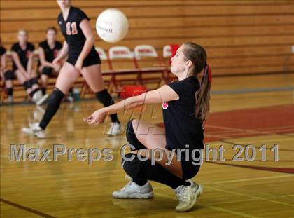 Thumbnail 2 in Shasta @ Foothill photogallery.