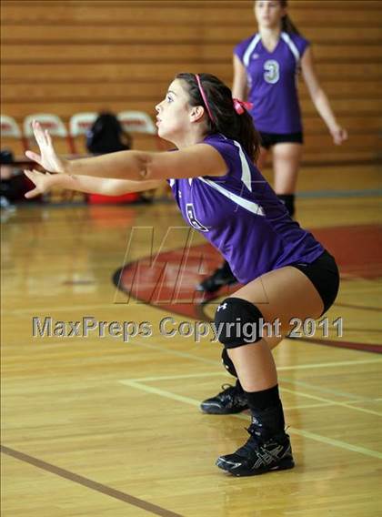 Thumbnail 3 in Shasta @ Foothill photogallery.