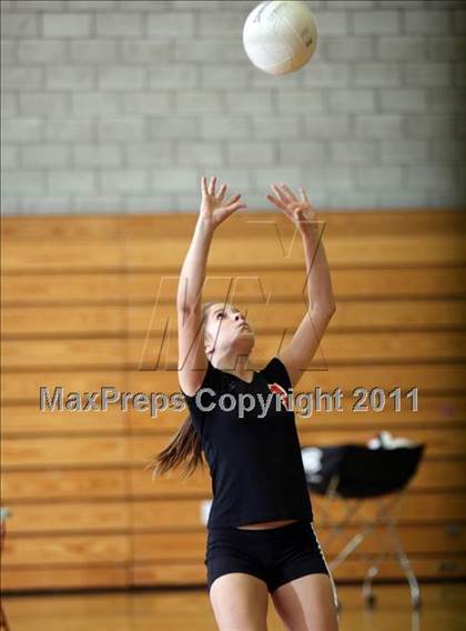 Thumbnail 1 in Shasta @ Foothill photogallery.