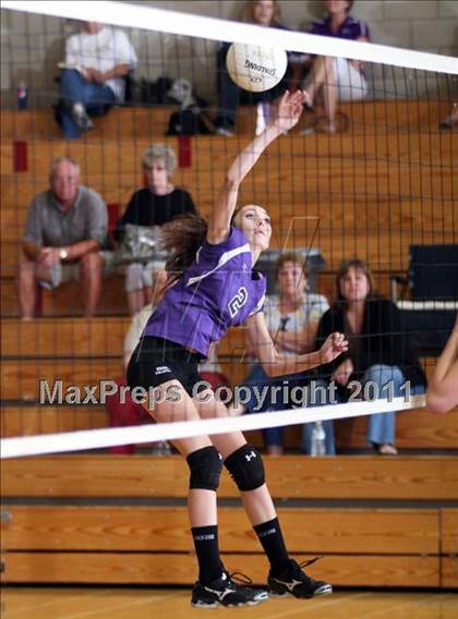 Thumbnail 2 in Shasta @ Foothill photogallery.