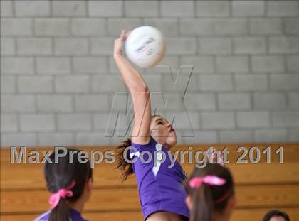 Thumbnail 3 in Shasta @ Foothill photogallery.