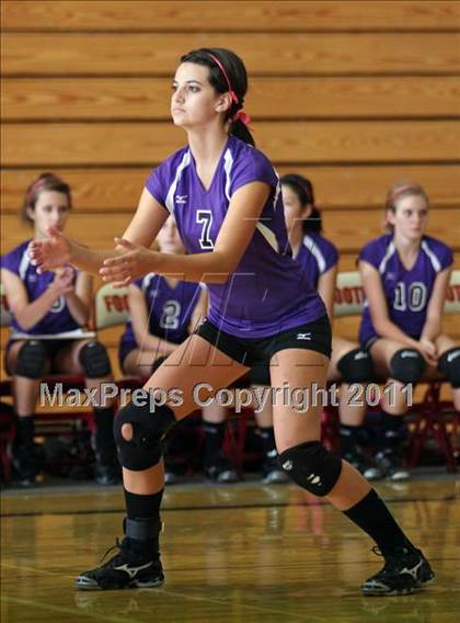 Thumbnail 2 in Fr: Shasta @ Foothill photogallery.