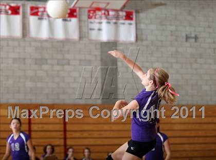Thumbnail 1 in Shasta @ Foothill photogallery.