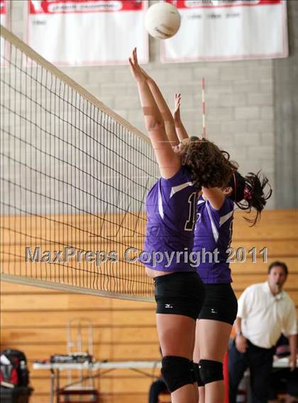 Thumbnail 2 in Fr: Shasta @ Foothill photogallery.