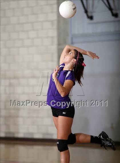 Thumbnail 1 in Shasta @ Foothill photogallery.