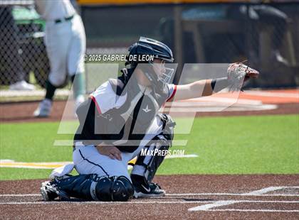 Thumbnail 3 in Palmview @ Rowe photogallery.