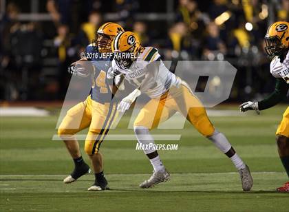Thumbnail 1 in St. Edward vs. St. Ignatius (OHSAA Division I Region 1 Final) photogallery.