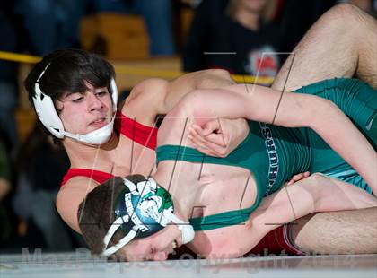 Thumbnail 1 in Connetquot @ Lindenhurst photogallery.