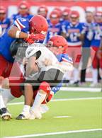 Photo from the gallery "Red Mountain @ Mountain View"