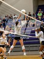 Photo from the gallery "Pinecrest @ Jack Britt"