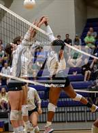 Photo from the gallery "Pinecrest @ Jack Britt"