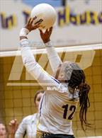 Photo from the gallery "Pinecrest @ Jack Britt"