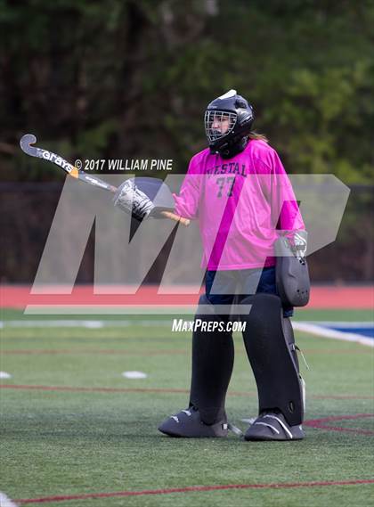 Thumbnail 1 in Lakeland vs. Vestal (NYSPHSAA Class B Final) photogallery.