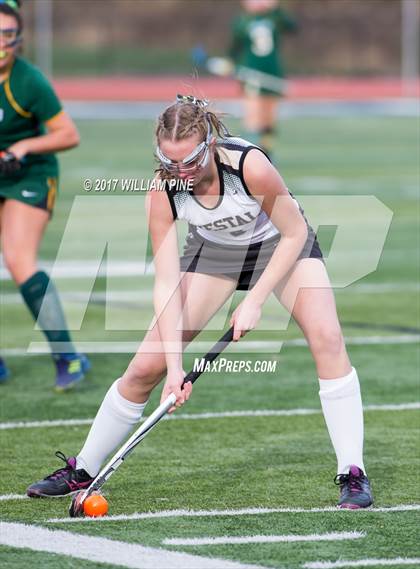 Thumbnail 3 in Lakeland vs. Vestal (NYSPHSAA Class B Final) photogallery.