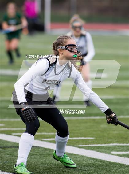 Thumbnail 1 in Lakeland vs. Vestal (NYSPHSAA Class B Final) photogallery.