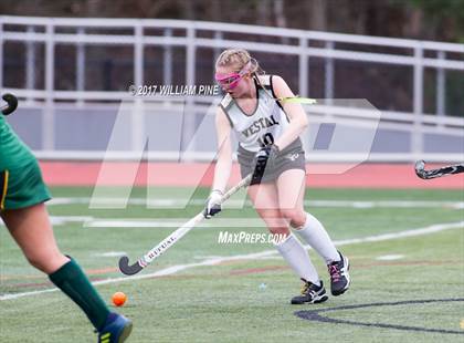 Thumbnail 3 in Lakeland vs. Vestal (NYSPHSAA Class B Final) photogallery.