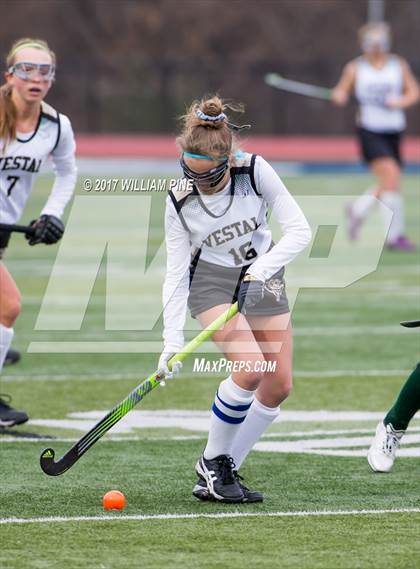 Thumbnail 2 in Lakeland vs. Vestal (NYSPHSAA Class B Final) photogallery.