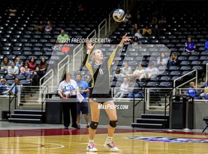 Thumbnail 1 in Beckville vs. Crawford (UIL Volleyball 2A Semi-Finals)  photogallery.