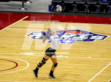 Thumbnail 2 in Beckville vs. Crawford (UIL Volleyball 2A Semi-Finals)  photogallery.
