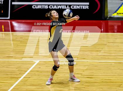 Thumbnail 2 in Beckville vs. Crawford (UIL Volleyball 2A Semi-Finals)  photogallery.