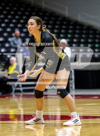 Thumbnail 1 in Beckville vs. Crawford (UIL Volleyball 2A Semi-Finals)  photogallery.