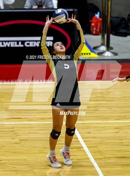 Thumbnail 3 in Beckville vs. Crawford (UIL Volleyball 2A Semi-Finals)  photogallery.