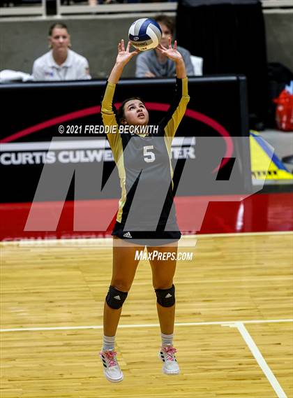 Thumbnail 3 in Beckville vs. Crawford (UIL Volleyball 2A Semi-Finals)  photogallery.