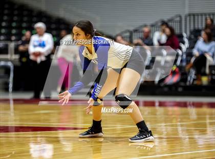 Thumbnail 1 in Beckville vs. Crawford (UIL Volleyball 2A Semi-Finals)  photogallery.