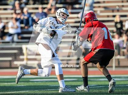 Thumbnail 1 in Glendale @ Crespi photogallery.